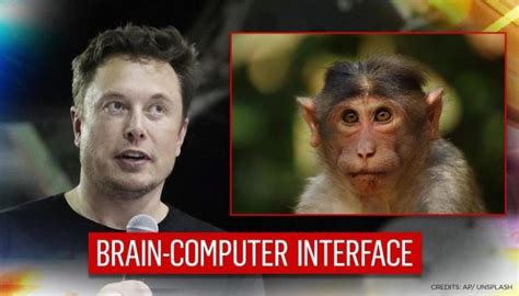 Elon Musk’s Neuralink Brain-Computer Interface Allows Monkey to play