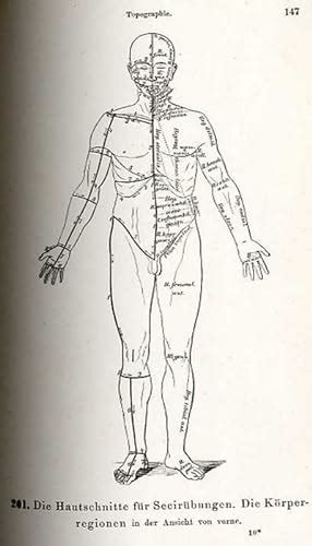 Die Descriptive Und Topografische Anatomie Des Menschen In 600