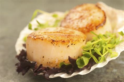 Carrots, onion, celery, courgette and tomatoes are chopped into small pieces and coated in a rich, tomato bolognese sauce. Are Sea Scallops Healthy? | Livestrong.com