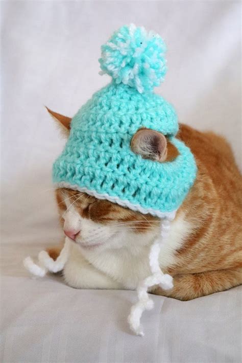 Cat Hat Beanie For Cats And Kittens Pom Pom Hat For Male Cats Etsy