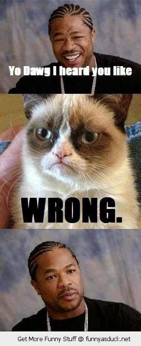 Funny Memes Angry Cat Image Memes At