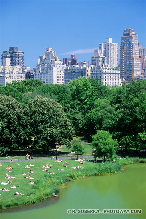 Photos De Central Park Photo à New York Photos Du Parc à Manhattan