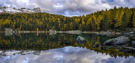 Landscape Lake Pine Trees Lago Di Saoseo Switzerland Wallpapers Hd