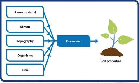 This is the material from which the soil has developed and can vary from solid rock to deposits like alluvium and boulder clay. Factors that influence soil formation in Indian Conditions ...