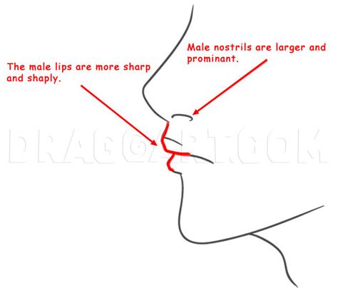 How To Draw Profile Faces And Mouths Side View Coloring Page Trace