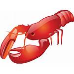 Lobster Clipart Clip Transparent Seafood Crawfish Outline