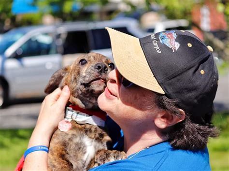 Get info on petco in concord, nh 03301. Pets for Adoption at Survivor's Paws Animal Rescue, Inc ...