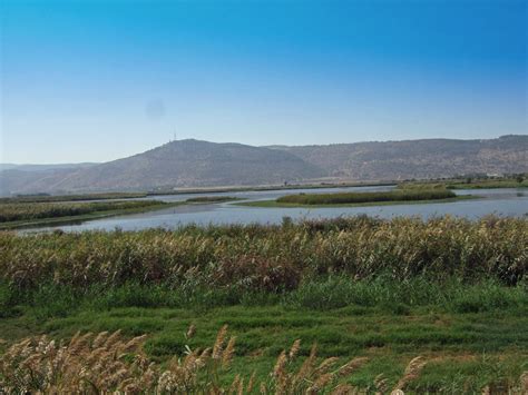 The Hula Valley Nature Reserve In Upper Galilee Israel