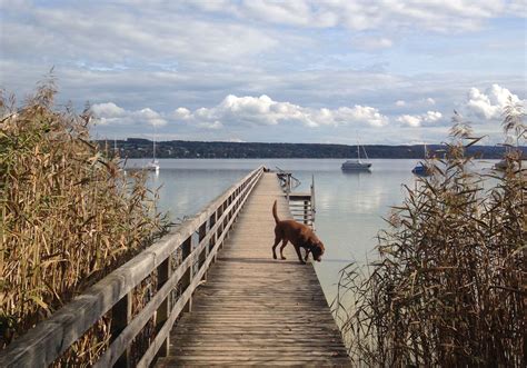 Der ammersee ist nach dem chiemsee und dem starnberger see der drittgrößte see in bayern (unter. Ausflug zum Ammersee | Julie Fahrenheit