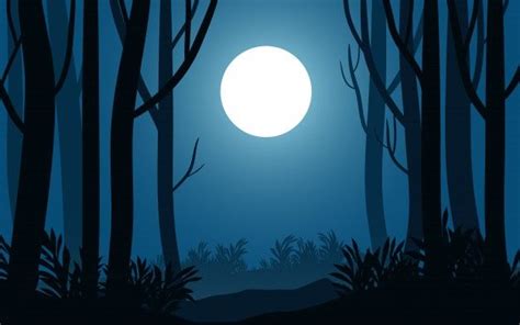 Premium Vector Night Landscape In Forest With Tree Silhouette And