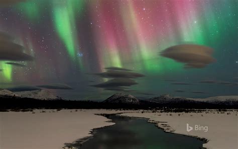 Northern Lights Near Whitehorse In Yukon Canada Bing
