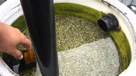 Koi Pond Sand And Gravel Filter How To Clean It Out Youtube