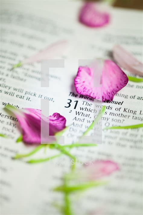 Try our bible quizzes and see if you know your bible trivia. Flowers on bible pages open to proverbs 31. — Photo ...