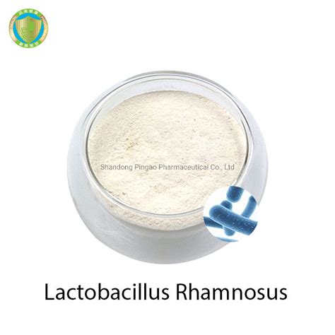 High Quality Lactobacillus Rhamnosus Powder Probiotics China