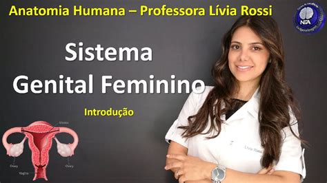 Anatomia Humana Sistema Genital Feminino Introdução Youtube