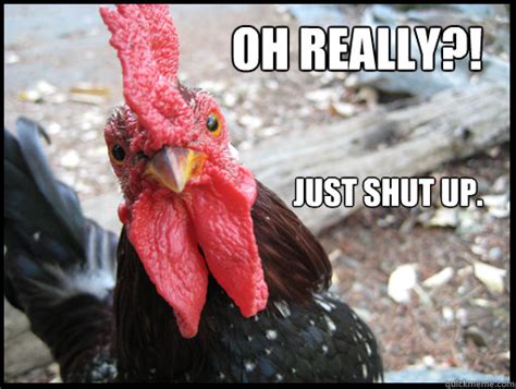 Oh Really Just Shut Up Serious Rooster Quickmeme