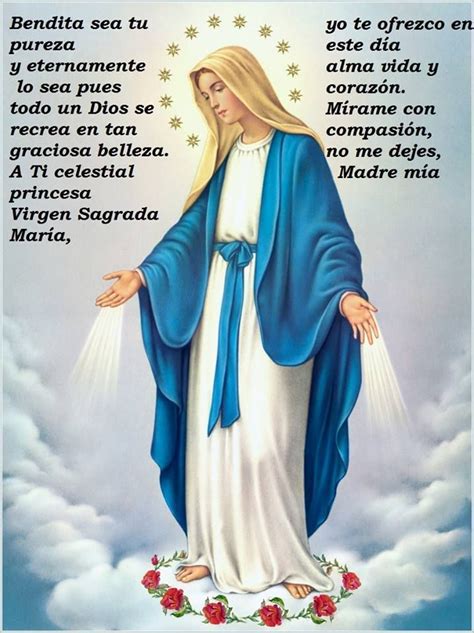 Bendita Sea Tu Pureza Virgen De Lourdes Oracion Oraciones Oracion