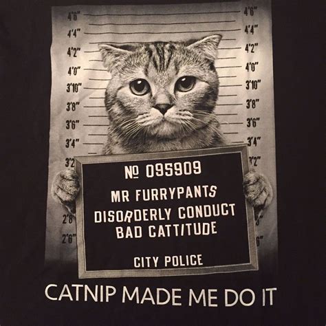 Kitty Cat Kitten Jail Prison Inmate Police Catnip New Tabby Calico Mens T Shirt Cats And