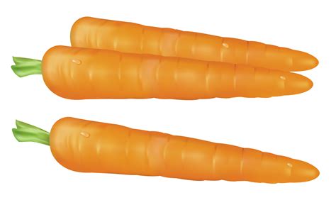 Free Carrots Pictures, Download Free Carrots Pictures png images, Free ...