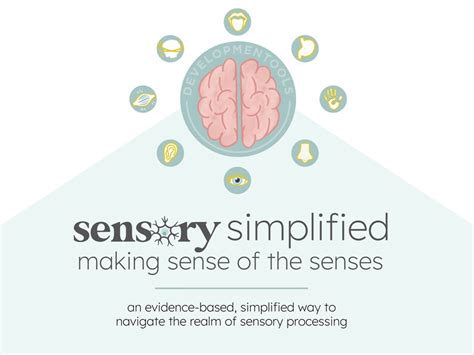 Sensory Simplified All Eight Systems Digital Download Occupational Therapy Special Education