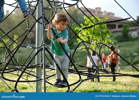 Child Playing On A Rope Ladder Web In A Playground Stock Image Image