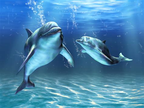 Underwater World Dolphins Two Hd Wallpaper Rare Gallery
