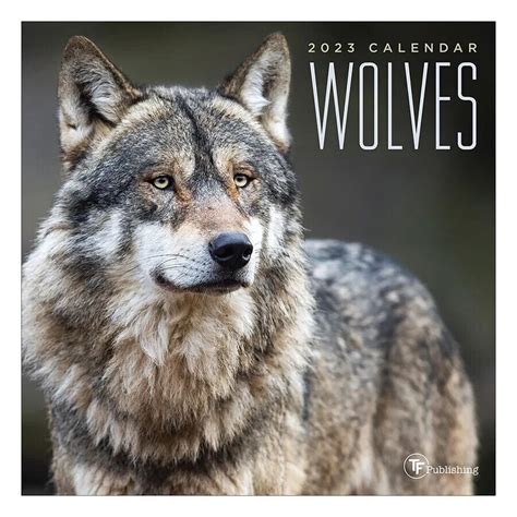 Tf Publishing 2023 Wolves Mini Calendar Etsy