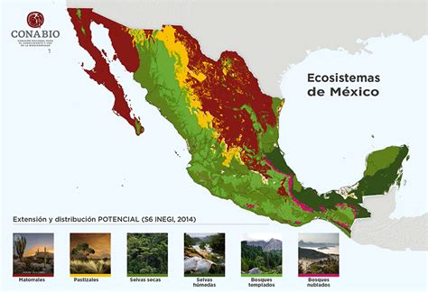 Ecosistemas de México Biodiversidad Mexicana