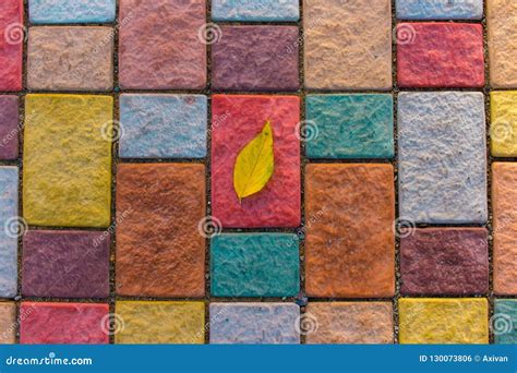 Yellow Leaf On Colorful Paving Stone Bricks Autumn Composition Concept