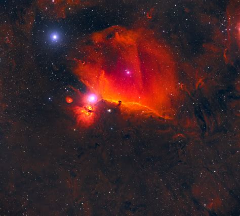 Horsehead Nebula Telescope Live