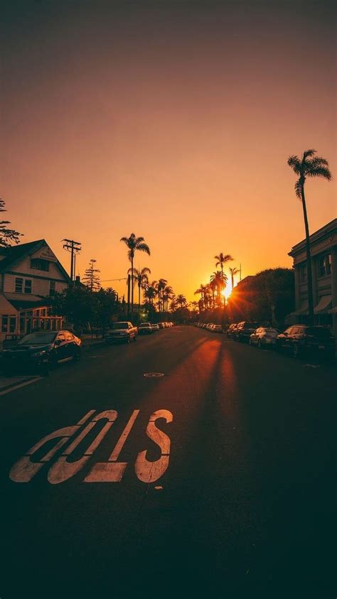 Sunset Palm Aesthetic Wallpapers Top Free Sunset Palm Aesthetic