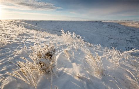 Grasslands In Winter