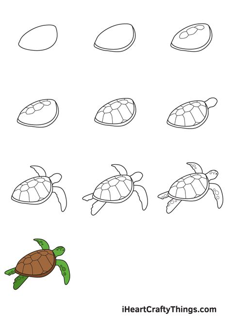How To Draw A Turtle Step By Step Drawing Tutorial
