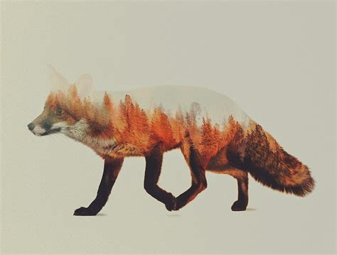 Animals Of Double Exposure By Andreas Lie The Collective Loop