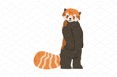 Cute Red Standing Panda Adorable Vector Graphics ~ Creative Market