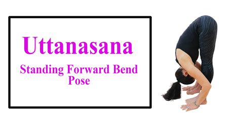 Uttanasana Standing Forward Bend Pose Learn How To Do It