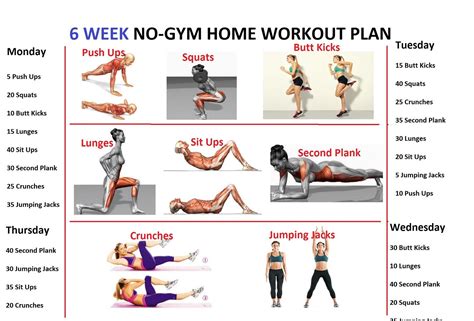 HealthCare Wellness Family Concepts: 6 week workout plan