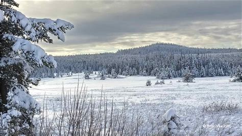 Northern Interior British Columbia Winters December 2015 Snowfall