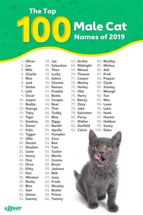 The 100 Most Popular Male And Female Cat Names Of 2020