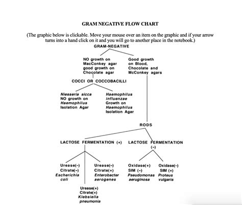 Gram Positive Test Flow Chart