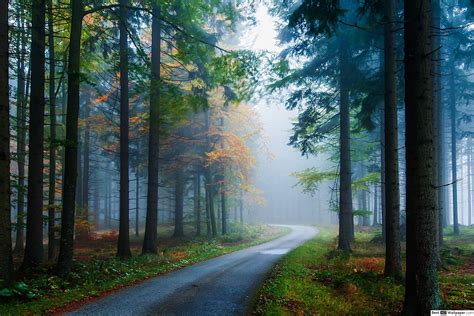 Lonely Road Wallpapers Top Free Lonely Road Backgrounds Wallpaperaccess