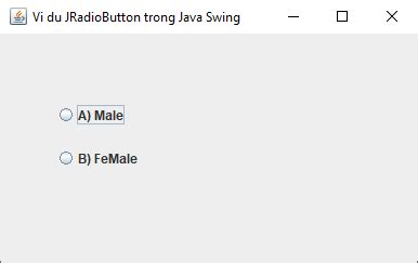 Java Radio Button Jradiobutton Swing Example