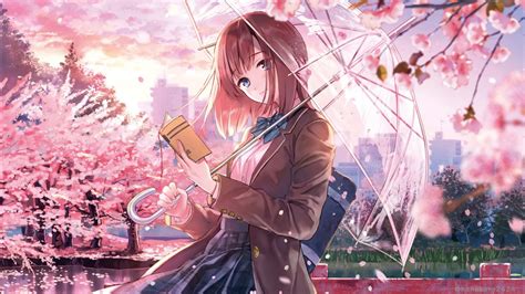 Anime Girl Cherry Blossom Season 4k Hd Wallpapers Hd