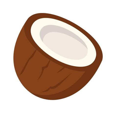 Kokosnuss Halb Gesunde Ernährung Vektor Illustration Premium Vektor