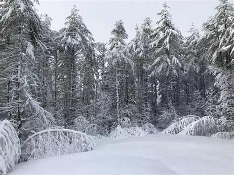 Free Images Winter Wonderland Cold Landscape Frozen Seasonal