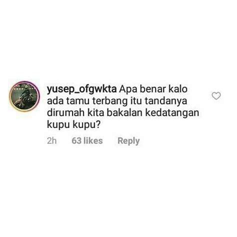 Haechan Quotes Indonesia : Go fllw di 2020 | Pesan teks lucu, Kata-kata indah, Teks lucu : .more