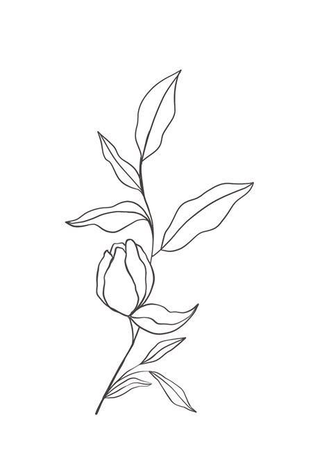 Drawing Of Flowers Transparent Png Png Play