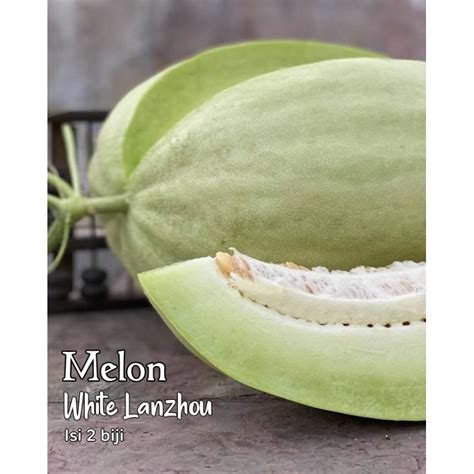 Jual Melon White Lanzhou Benih Heirloom Seeds Shopee Indonesia