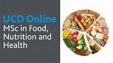 Online College Nutrition Courses Images