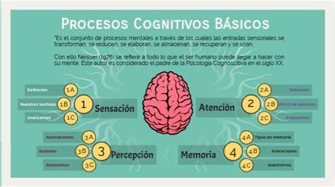 Procesos Cognitivos Básicos